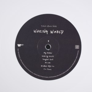 Waking World (07)